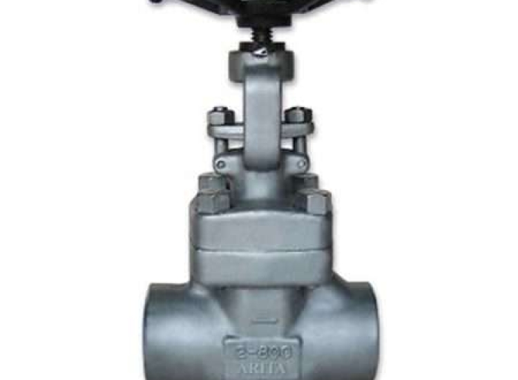 VAN CỔNG INOX Class 800 Forged SS Gate Valve Class 800