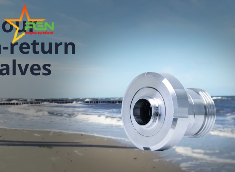 VAN MỘT CHIỀU INOX VI SINH M&S|M&S NON-RETURN VALVES